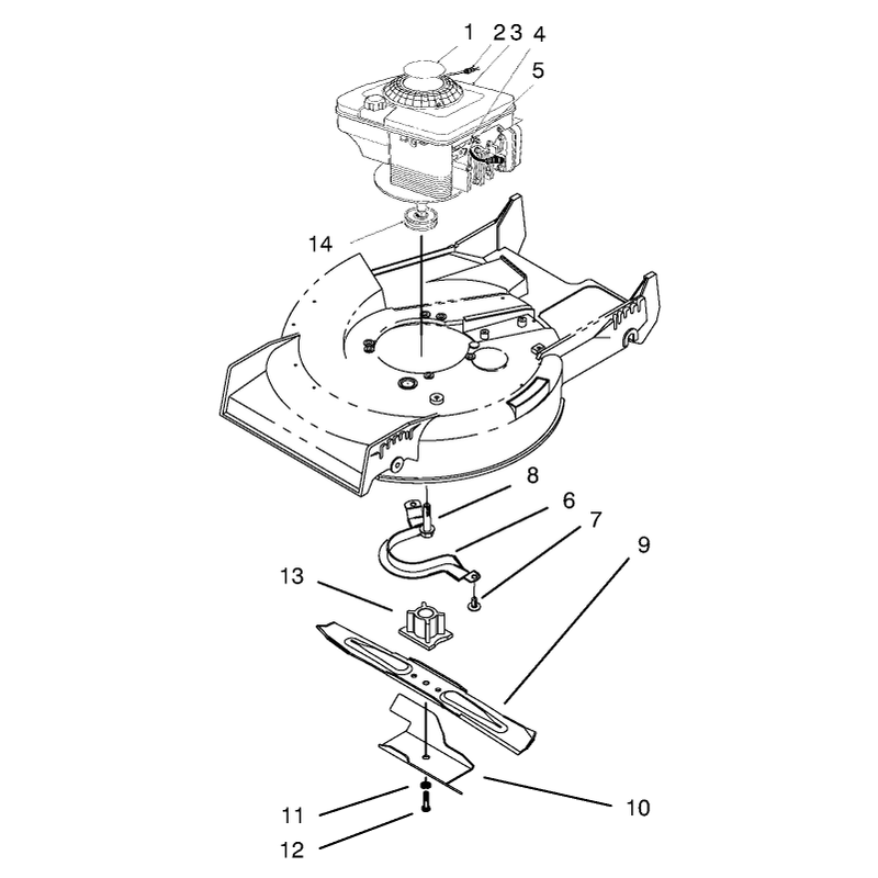 Engine Assembly