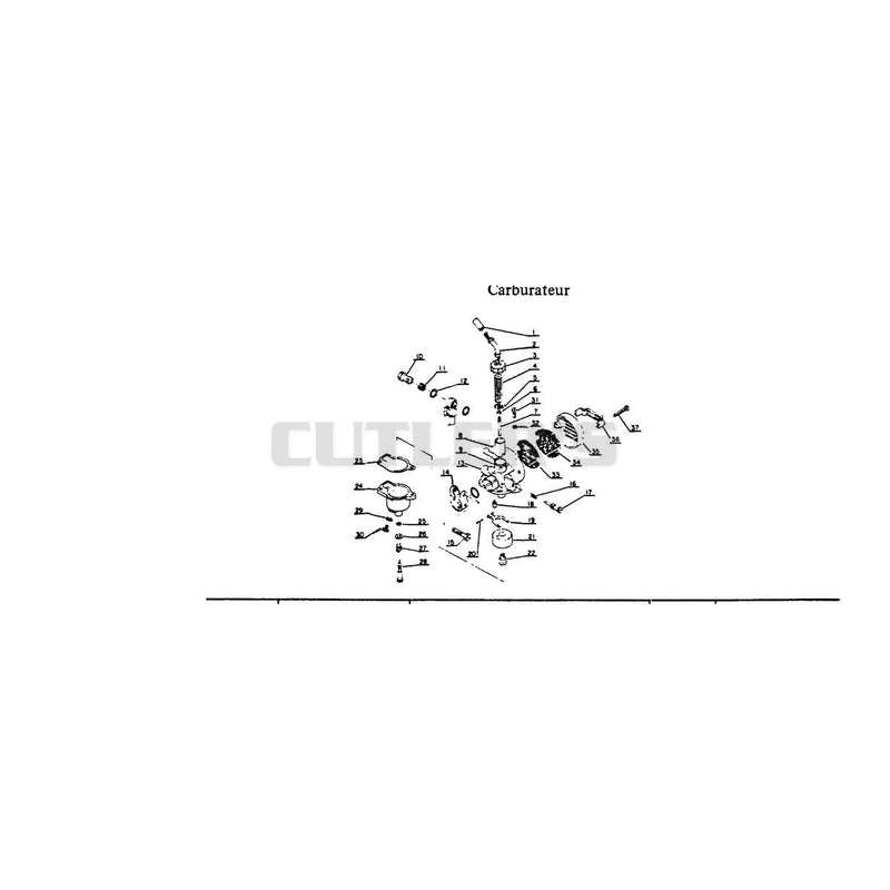 Carburetor and Air Cleaner