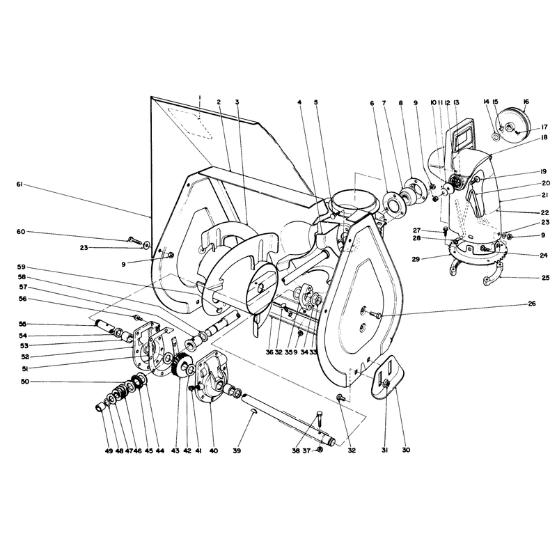 Auger Assembly