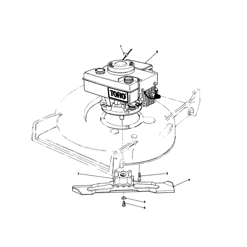 Engine Assembly