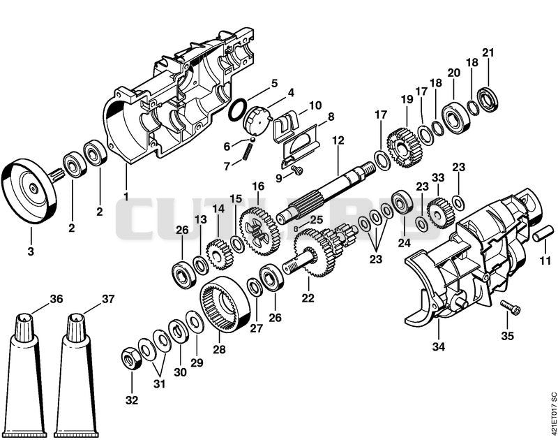 Gear head