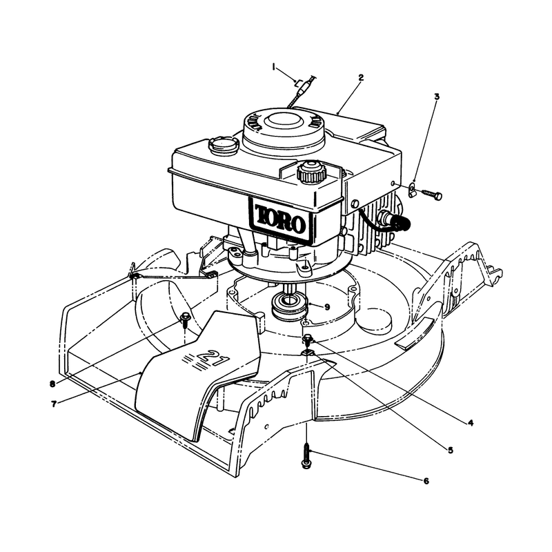 Engine Assembly