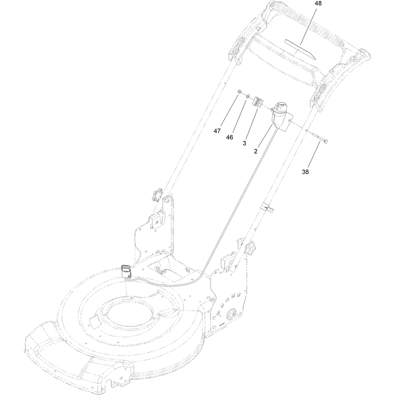 Starter Switch Assembly