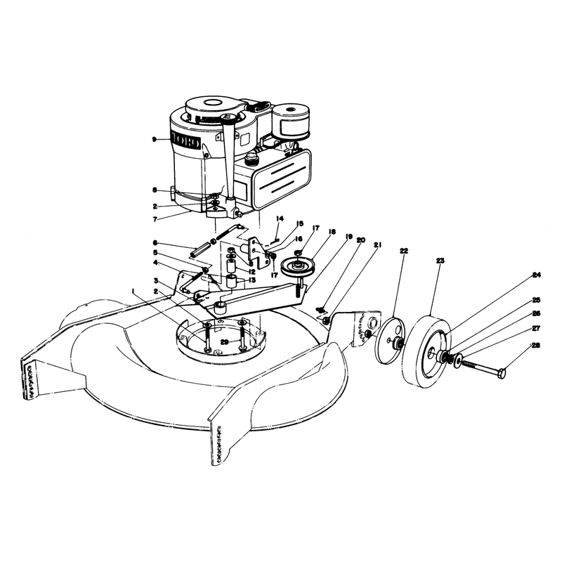 Engine Assembly