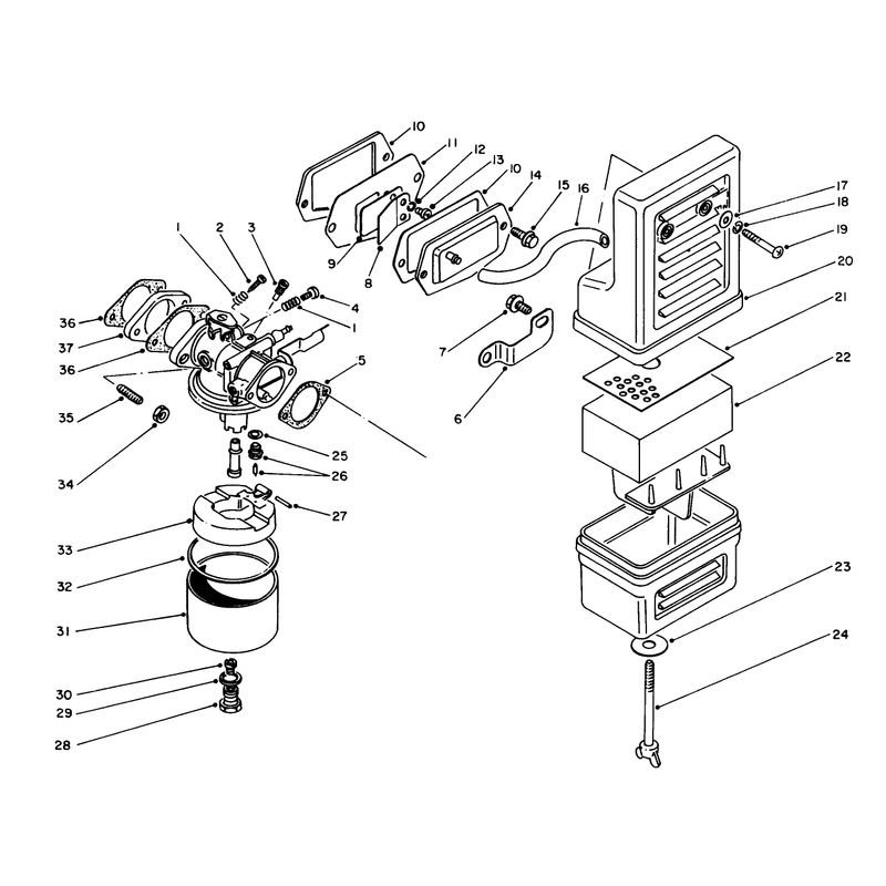 Air Cleaner and Carburetor Assembly
