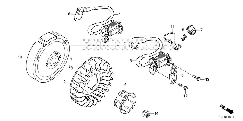 FLYWHEEL@IGNITION COIL   (2)