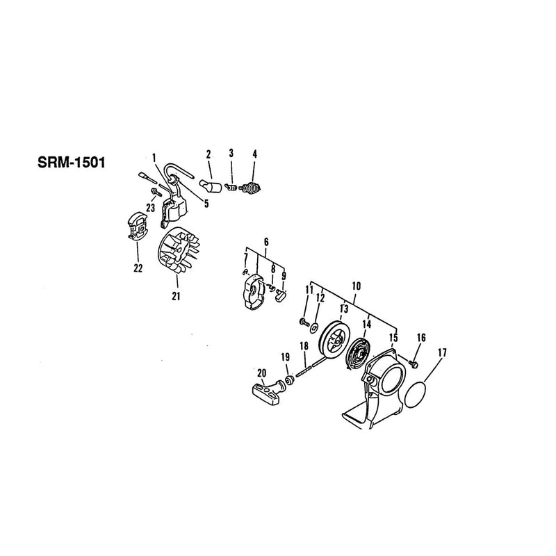 Clutch Ignition and Recoil Starter