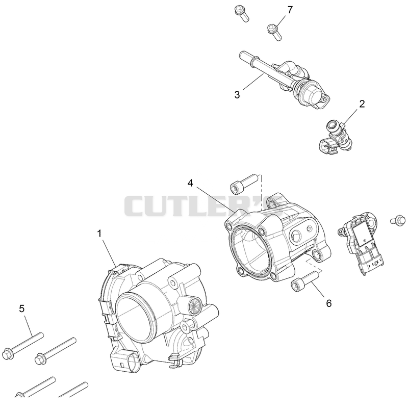 Throttle Body and Fuel Rail