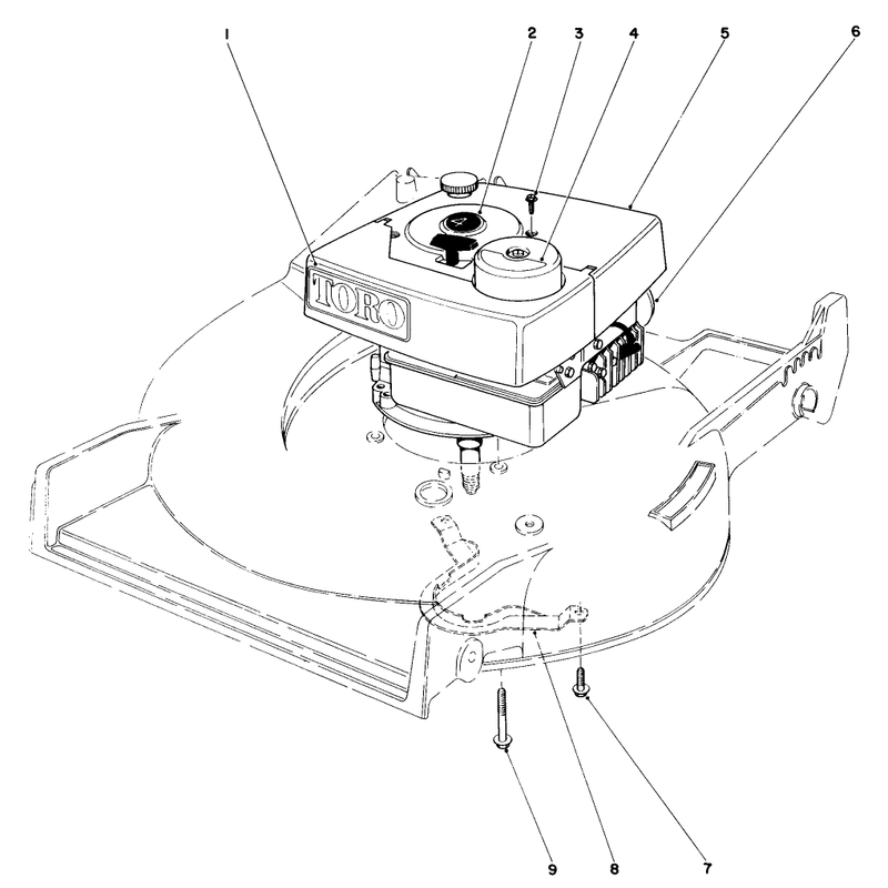 Engine Assembly