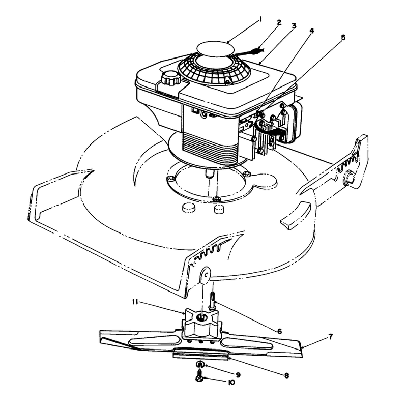 Engine Assembly