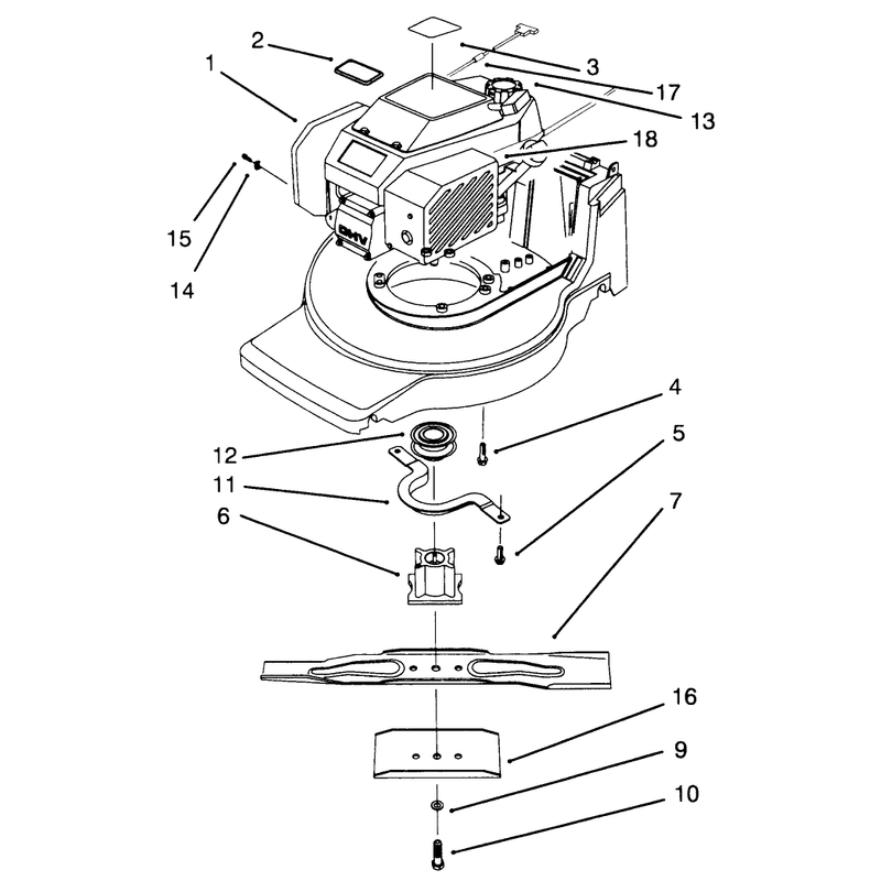 Engine Assembly