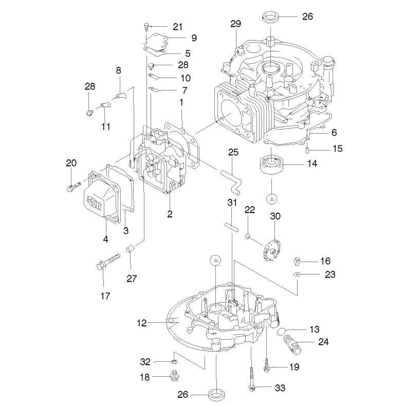 Cylinder and Crankcase Assembly