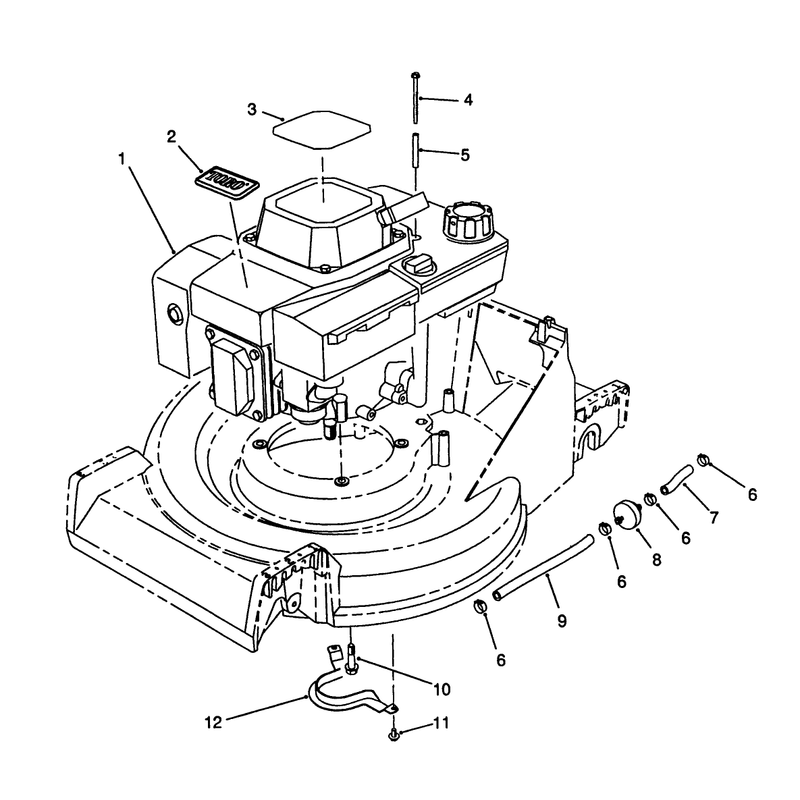 Engine Assembly