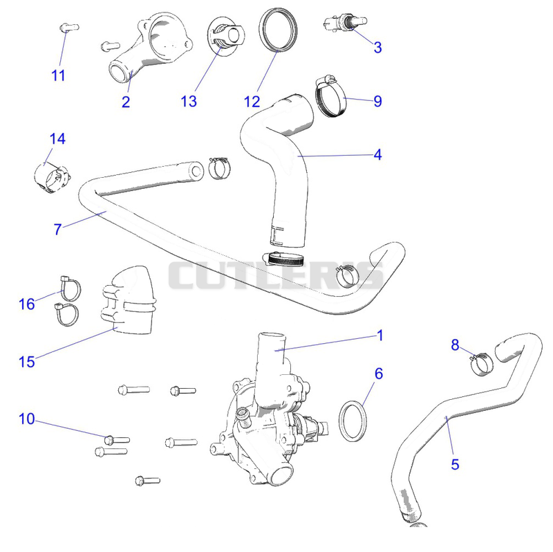 Engine, Waterpump and Bypass