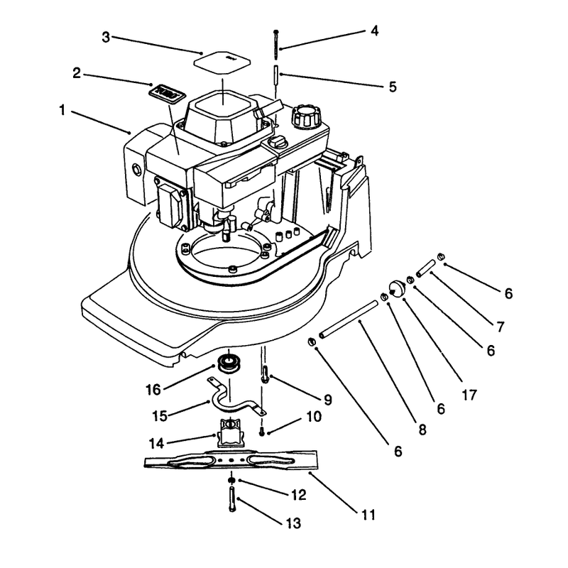 Engine Assembly