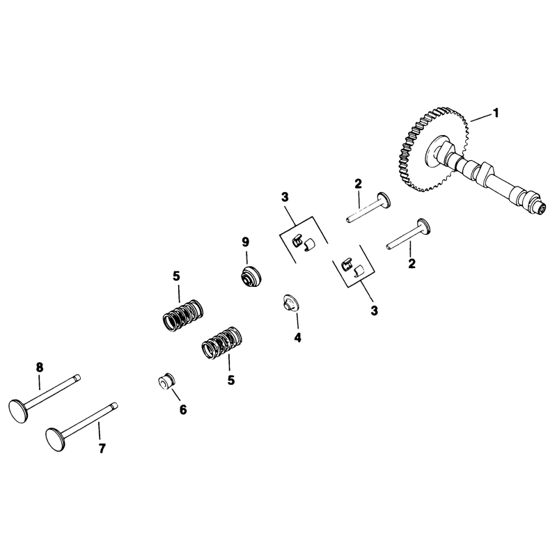 Camshaft and Valves