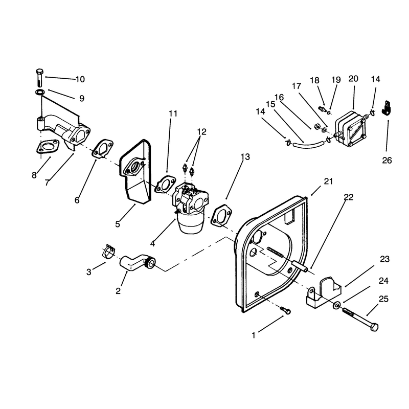 Carburetor and Fuel Pump