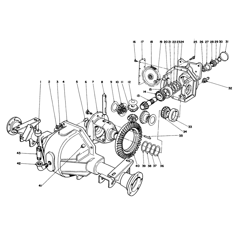 Differential Assembly