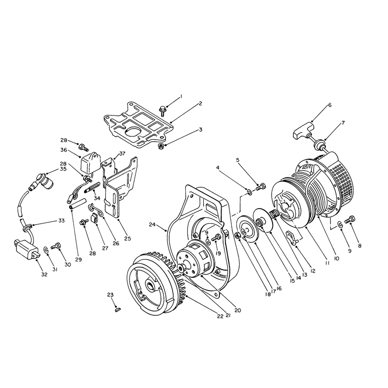 Rewind Starter and Magneto Assembly