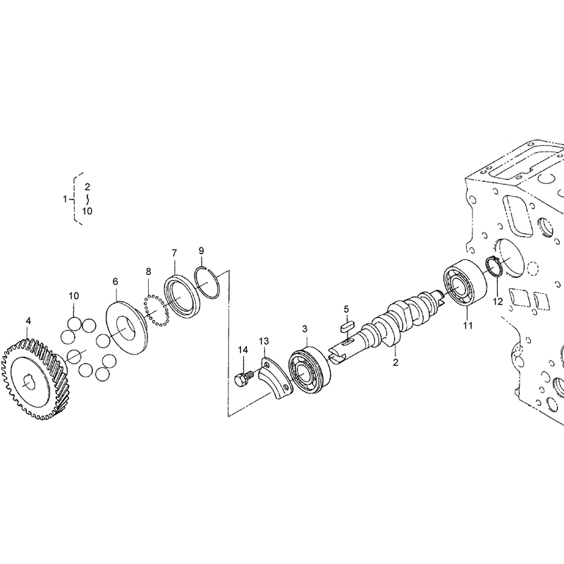 Fuel Camshaft and Governor Shaft Assembly