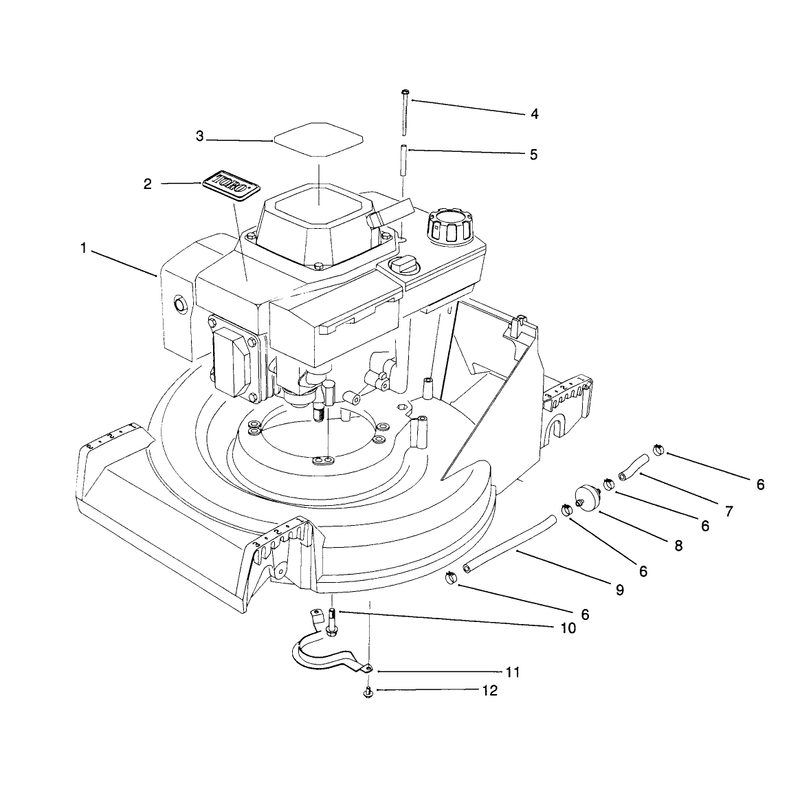 Engine Assembly