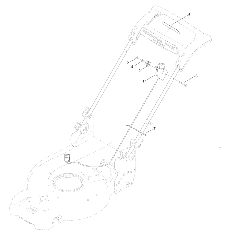 Starter Switch Assembly
