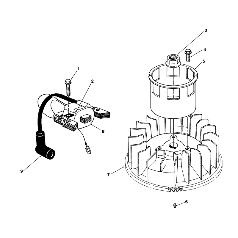 Magneto & Flywheel Assembly (engine Model No. Vmk9-2)
