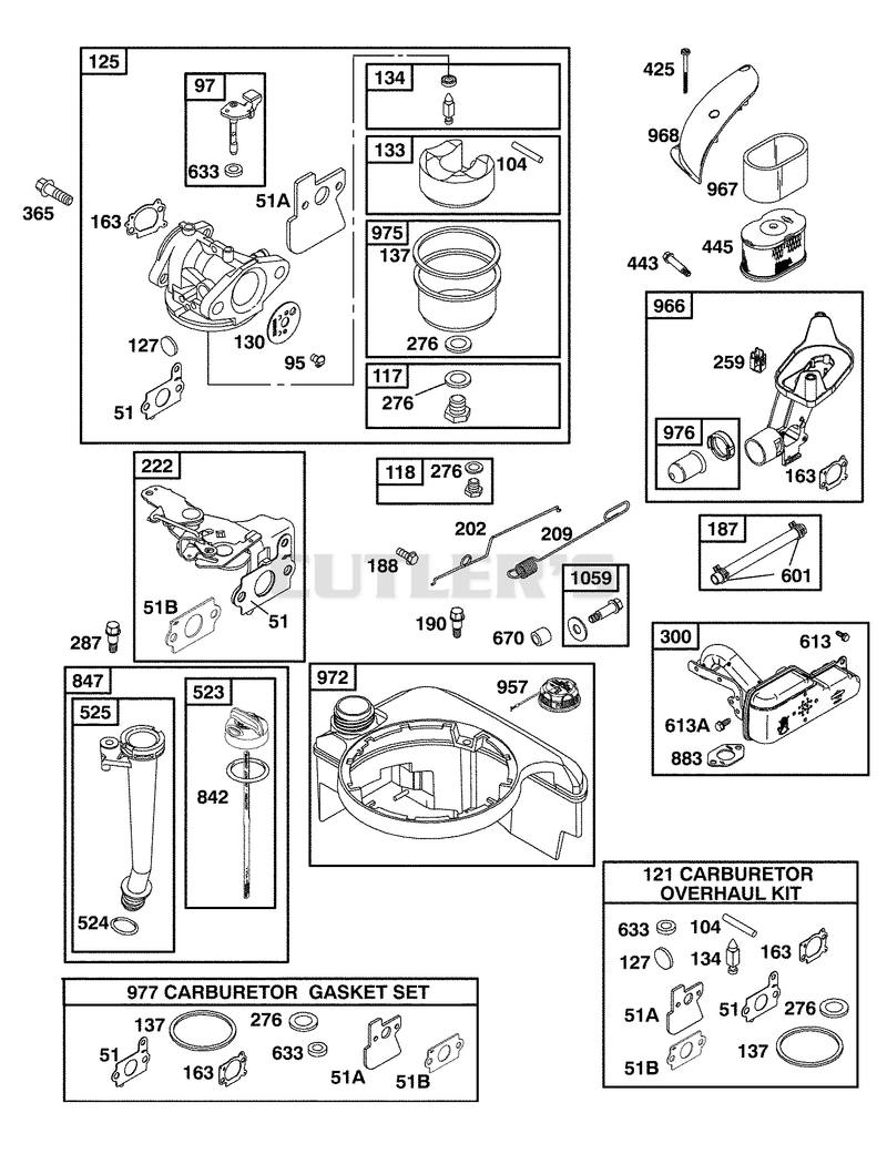 Briggs & Stratton 4-Cycle Engine