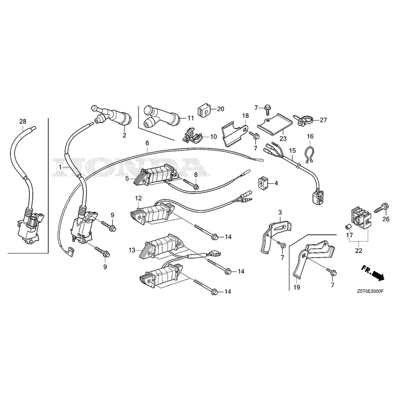 IGNITION COIL (1)