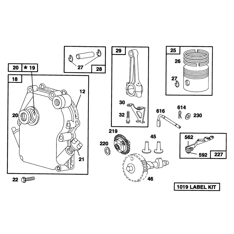 Engine Briggs and Stratton Model 135202-0263-01