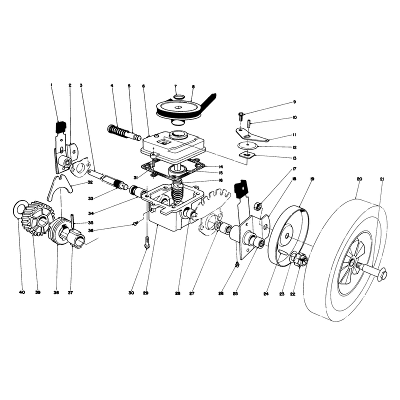 Gear Case Assembly