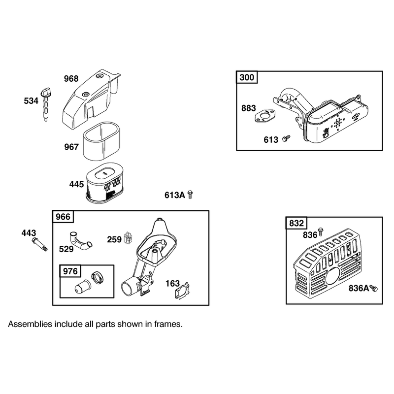 Air Cleaner Assembly
