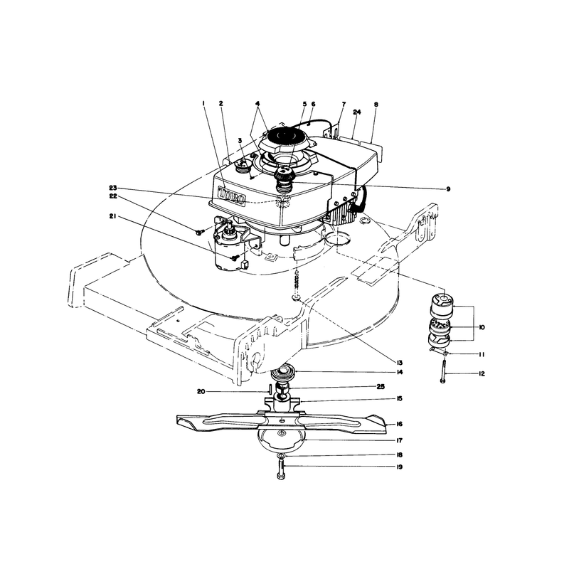 Engine Assembly