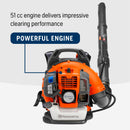 Husqvarna 970466901 150BT Gas Leaf Blower, 51-cc 2.16-HP 2-Cycle Backpack Leaf Blower, 765-CFM, 270-MPH, 22-N Powerful Clearing Performance and Ergonomic Harness System