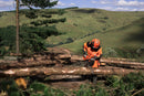 Husqvarna 966733113 572 XP 70.6-cc 28 inch Professional Gas Chainsaw, 0.063" Gauge and 3/8" Pitch
