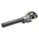 EGO Power+ LB5804 580CFM Variable-Speed Cordless Leaf Blower with 5.0Ah Battery & Charger