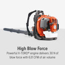 Husqvarna 966631102 560BTS 65.6-cc 631-CFM 232-MPH Professional Gas Backpack Leaf Blower