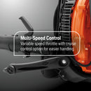 Husqvarna 970499201 580BFS 75.6-cc 1000-CFM 220-MPH Professional Gas Backpack Leaf Blower