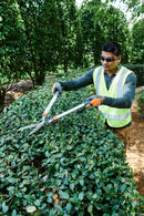 Husqvarna 599633501 32 inch Coarse Shears