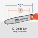Husqvarna 970796201 122LKP Polesaw, 21.7-cc 2-cycle Attachment Capable