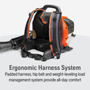 Husqvarna 970466901 150BT Gas Leaf Blower, 51-cc 2.16-HP 2-Cycle Backpack Leaf Blower, 765-CFM, 270-MPH, 22-N Powerful Clearing Performance and Ergonomic Harness System